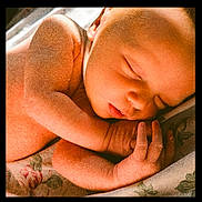 Milo joined the competition — help win amazing prizes! newborn, baby, sleeping, infant, peaceful, skin, face, hand, fingers, blanket, floral, resting, closeup, portrait, soft_light, delicate, cute, young, child, serene