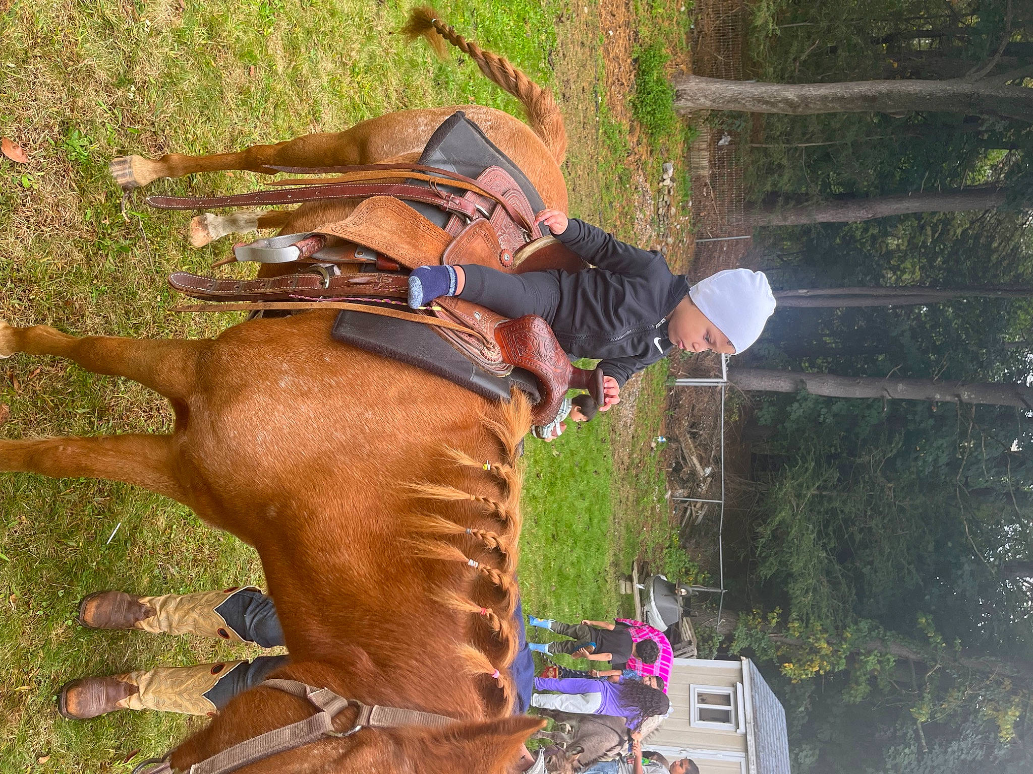 Adrian joined the competition — help win amazing prizes! animal_sports, bit, bridle, equestrian_sport, equestrianism, halter, headwear, horse, horse_supplies, horse_tack, jockey, liver, mane, pack_animal, person, plant, recreation, rein, saddle, sorrel