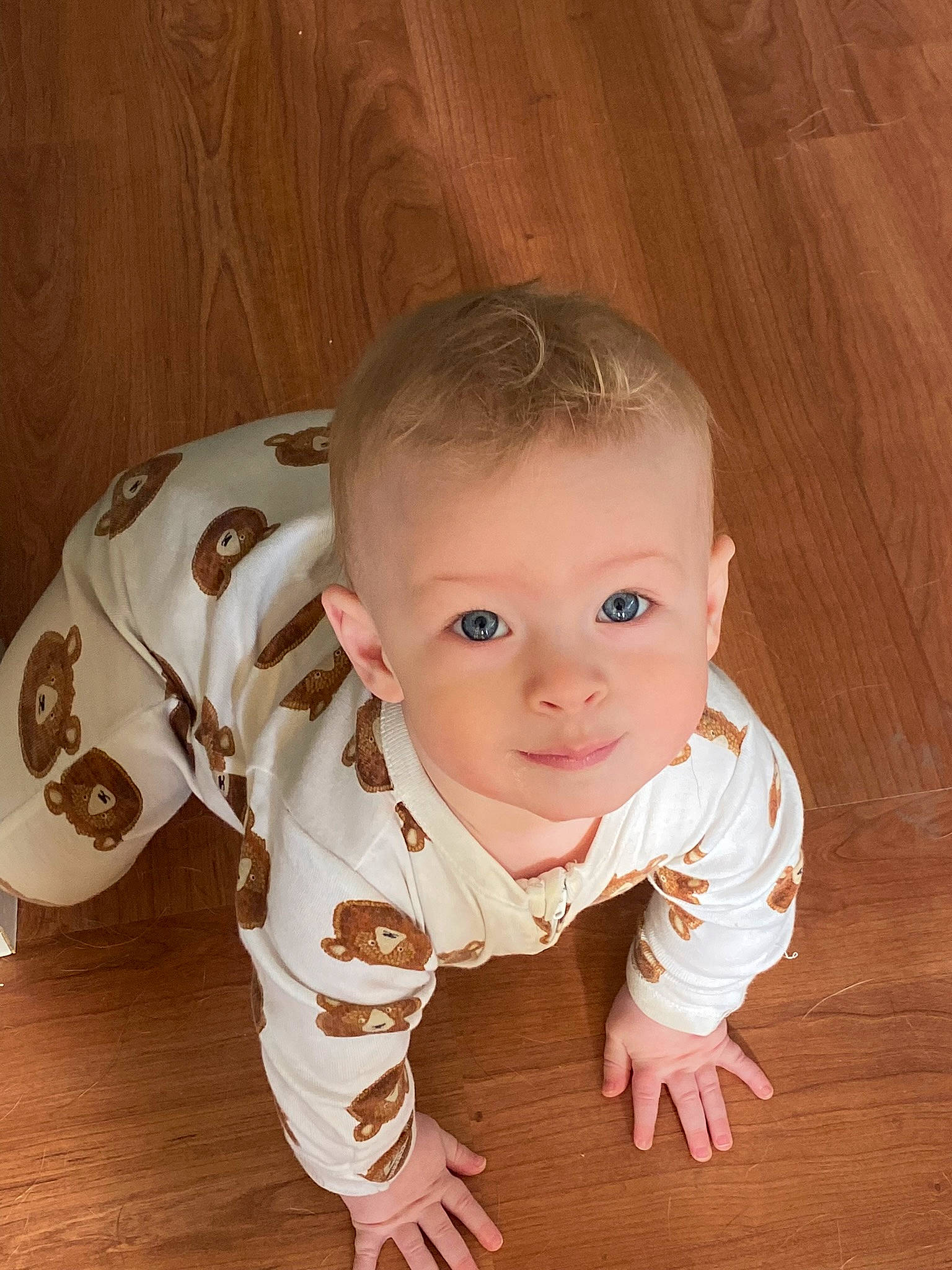 Owen joined the competition — help win amazing prizes! baby, baby_toddler_clothing, cheek, chin, comfort, crawling, eye, finger, flooring, fun, happy, hardwood, head, iris, nose, person, sitting, skin, sleeve, toddler