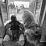 Nala a rejoint le concours — aidez-le/la à gagner de superbes lots ! back_view, black_and_white, chair, child, dog, fluffy_dog, fur, garden, house, indoors, leather_jacket, monochrome, neighborhood, outdoors, pants, street, surveillance, tail, toddler, window