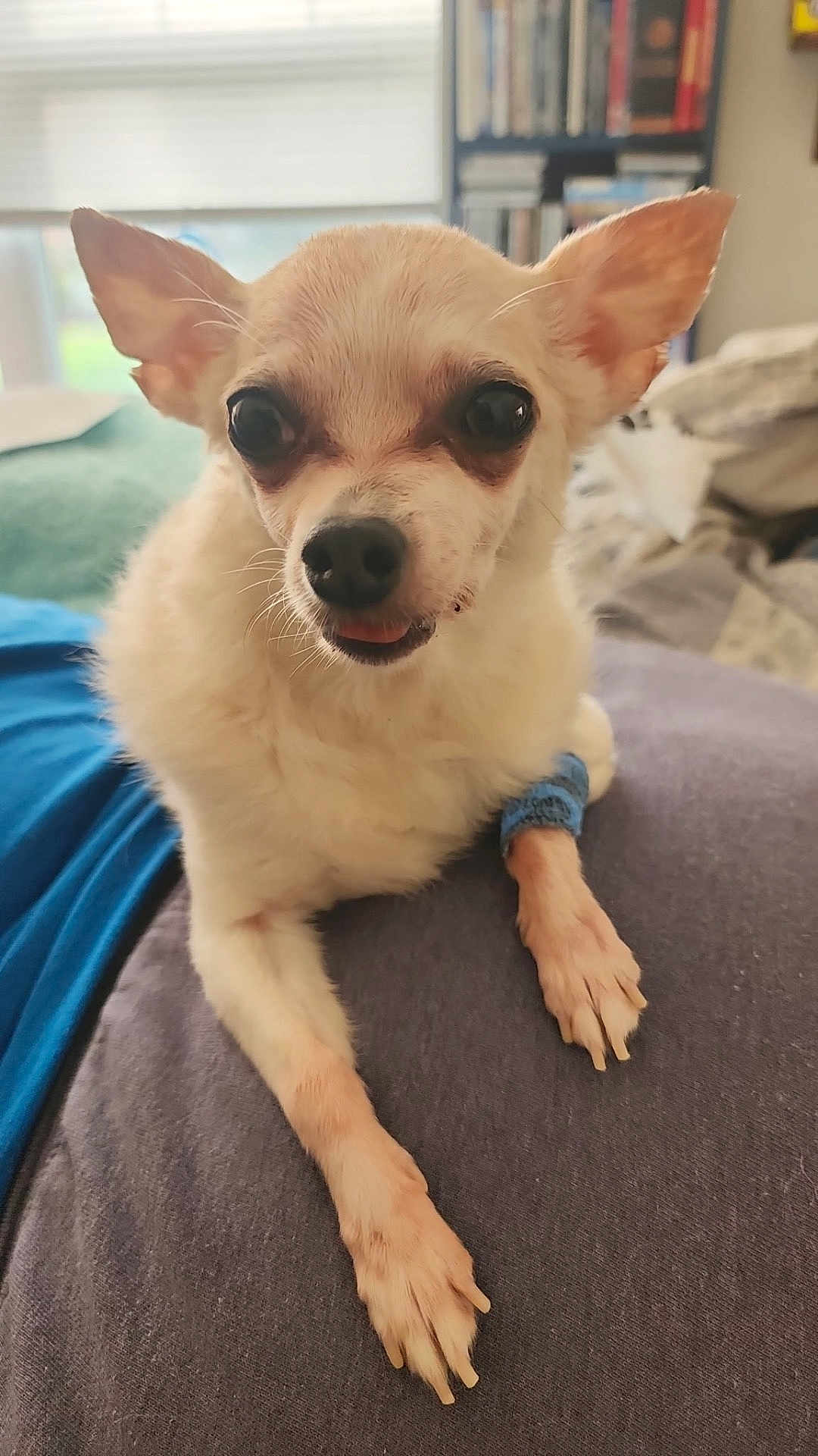 Minnie