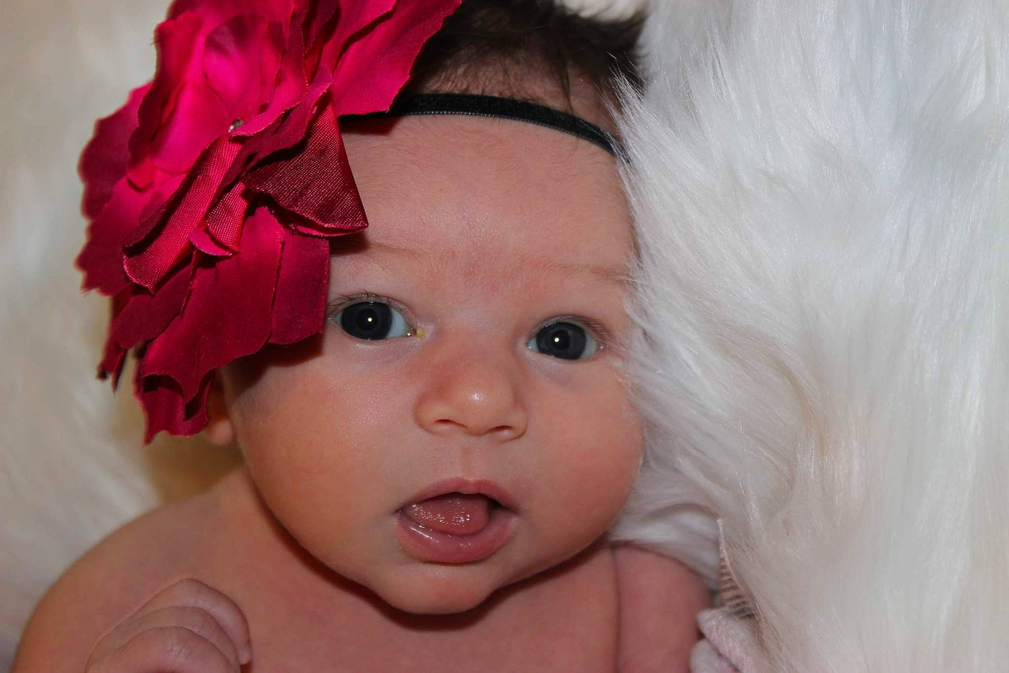 Kensleigh joined the competition — help win amazing prizes! black_hair, cheek, close_up, eye, eyelash, face, hair_accessory, happy, headgear, headpiece, headwear, iris, lip, magenta, person, petal, pink, plant, skin, smile