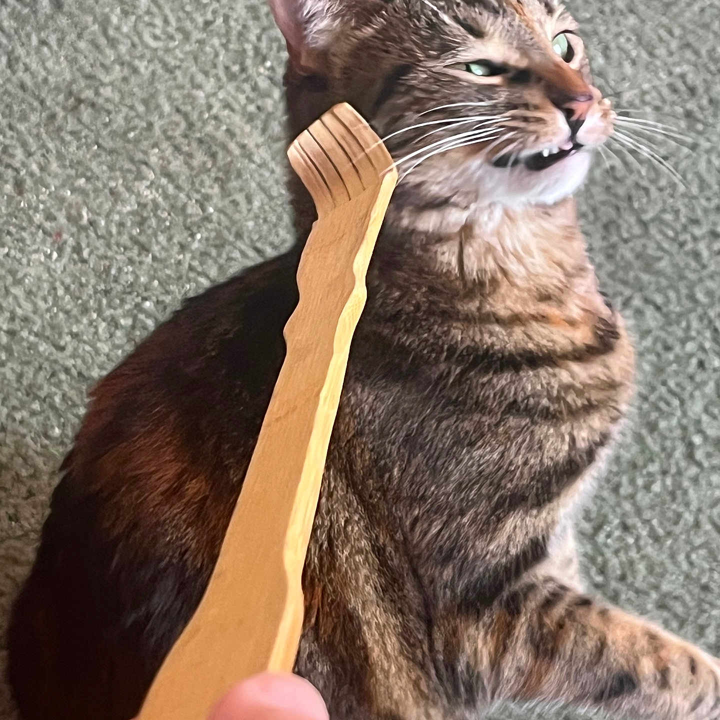Kiki