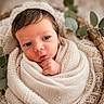 Adrian is registered to the contest to win money with this photo: baby, basket, blanket, cozy, cute, expression, eyes, face, green_leaves, hand, infant, knitted, natural_light, newborn, portrait, skin, sleepy, soft, wrapped, young