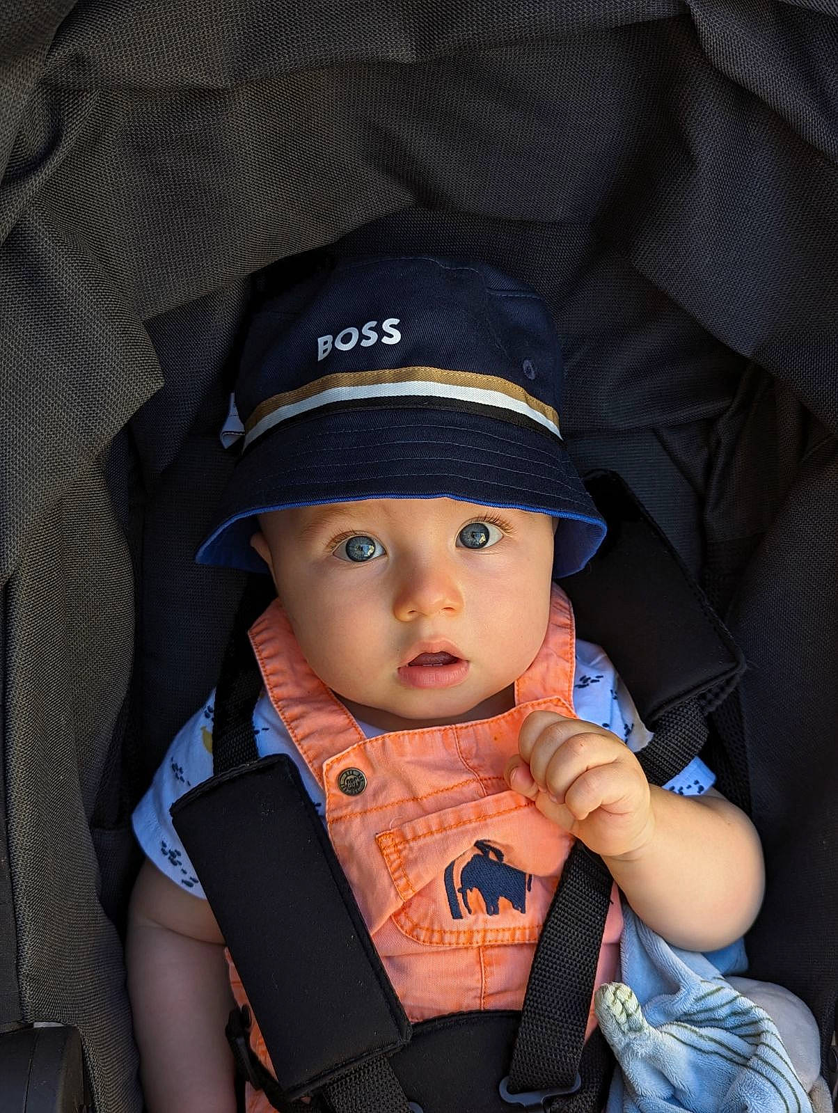 Lylio participe au concours pour gagner de l'argent avec cette photo : baby, baby_carriage, baby_products, baby_toddler_clothing, cap, child, comfort, electric_blue, fashion_accessory, flash_photography, hat, headwear, person, personal_protective_equipment, product, sitting, sleeve, surprise, toddler