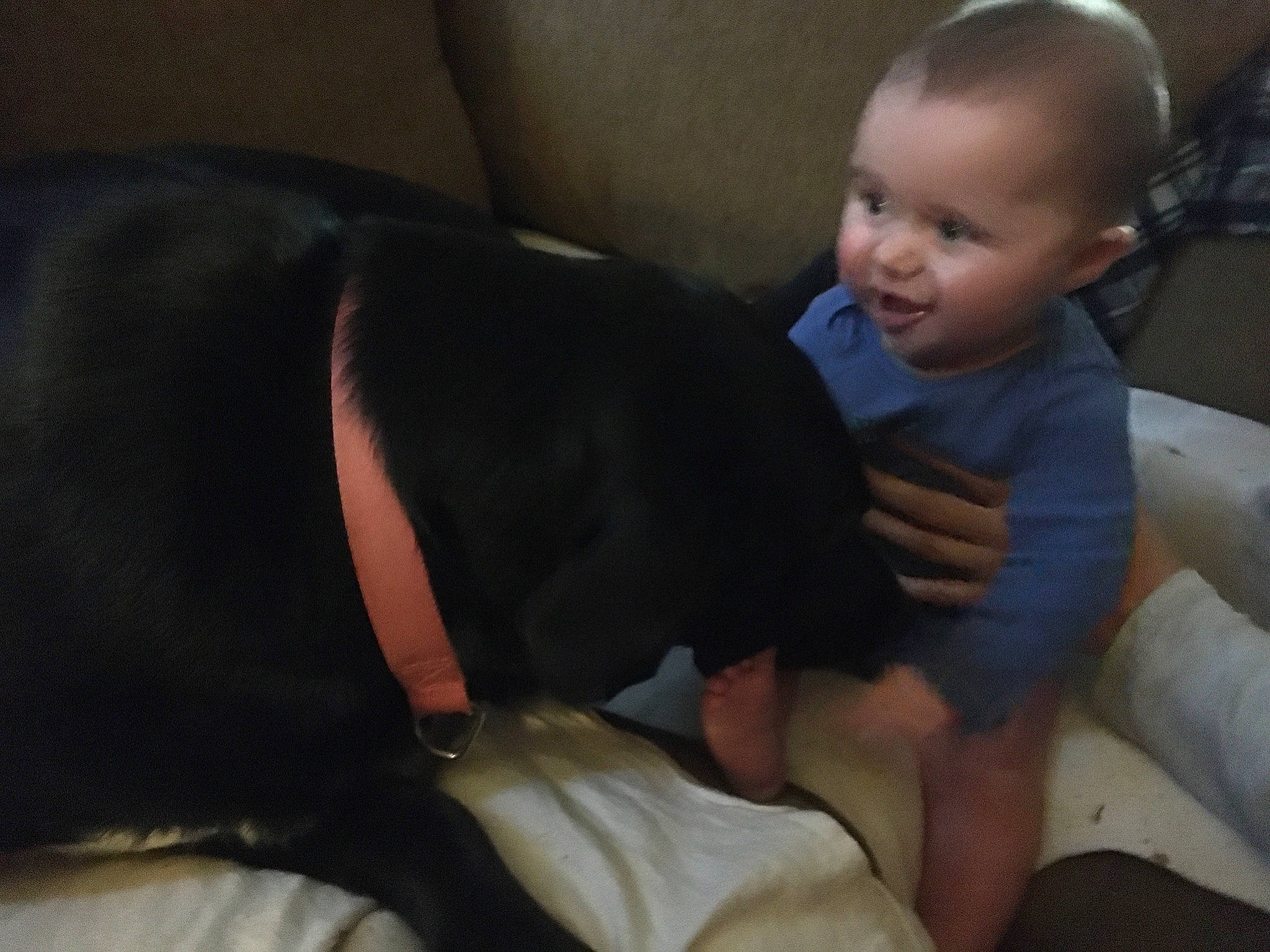 Brenton is registered to the contest to win money with this photo: arm, baby, birth, canidae, child, comfort, ear, fawn, hand, lap, leg, person, skin, toddler