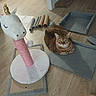 Khara a rejoint le concours — aidez-le/la à gagner de superbes lots ! cat, tabby, indoor, floor, carpet, cat_tree, scratching_post, unicorn, pet, animal, feline, wood_floor, relaxing, curious, home, cozy, toy, assembly, pet_accessory, resting