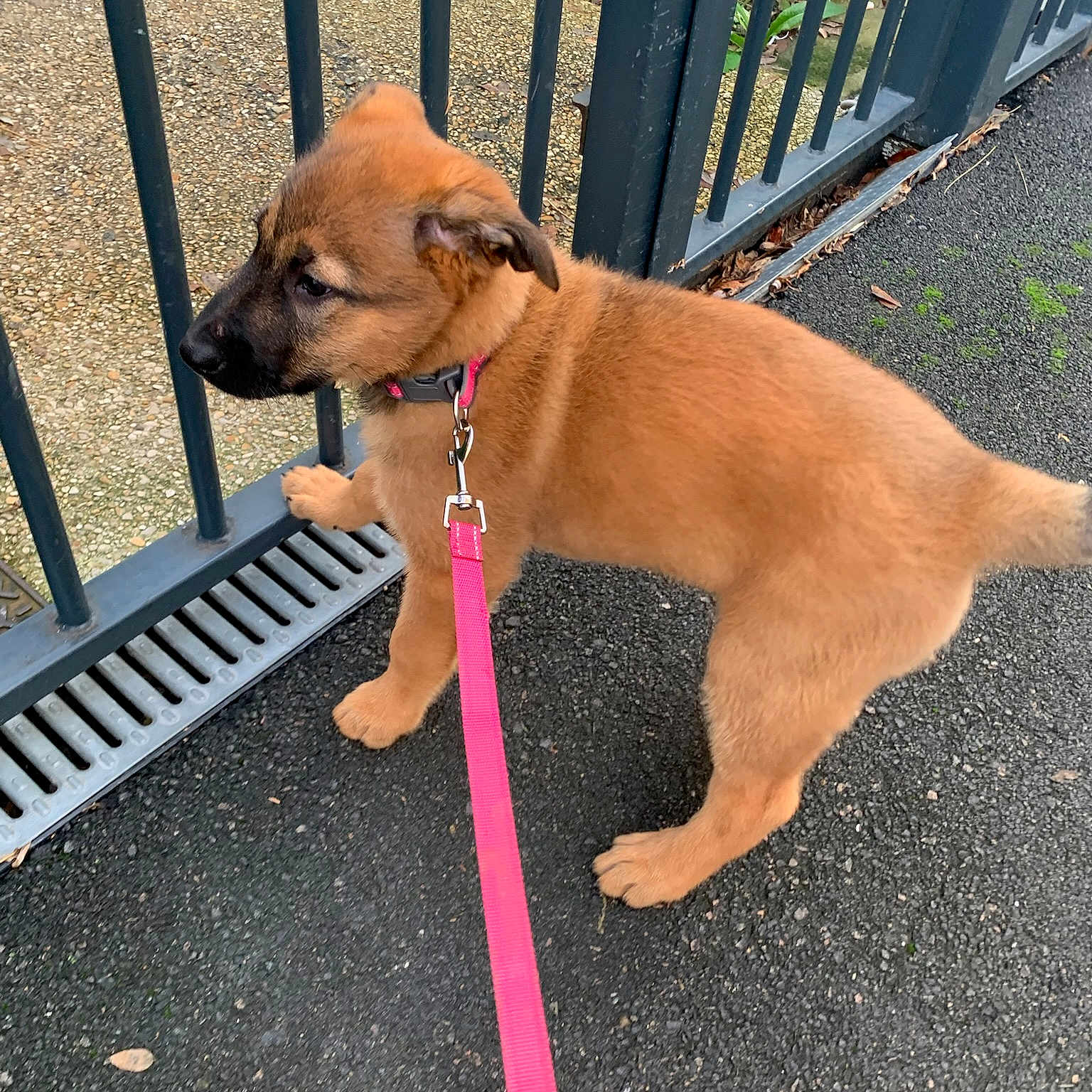 Tiny