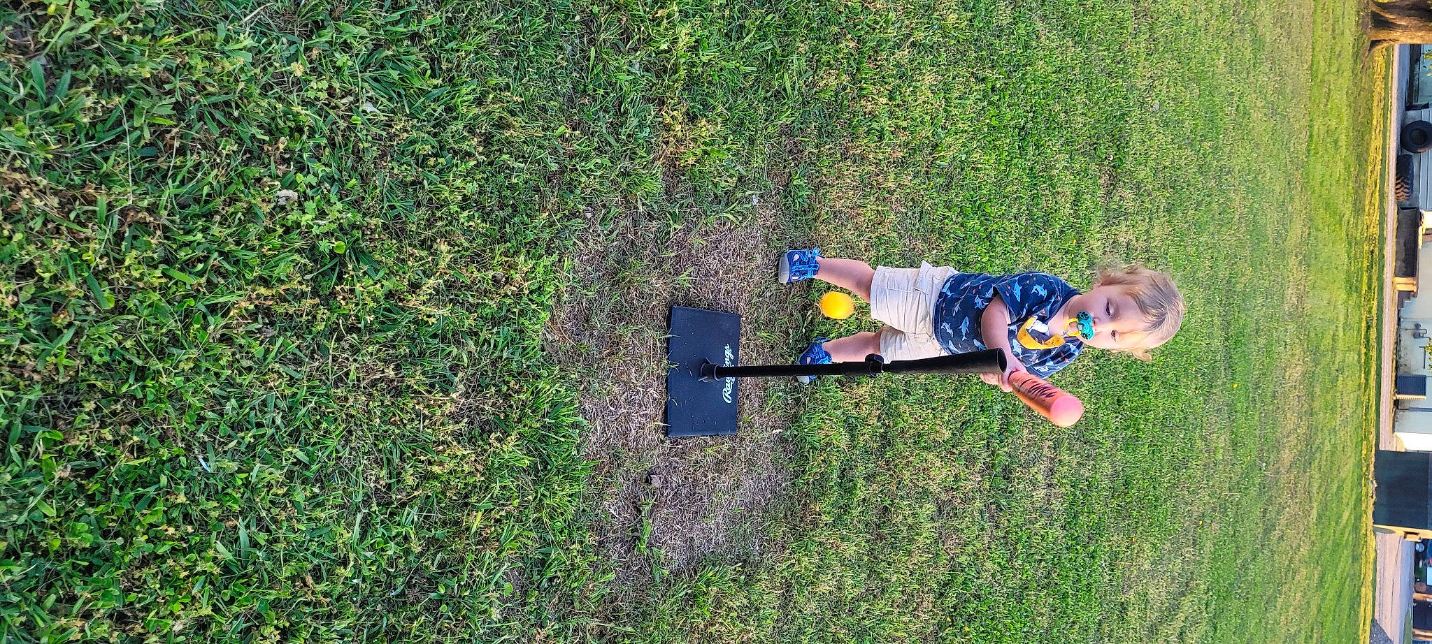 Lucas joined the competition — help win amazing prizes! asphalt, electric_blue, fun, garden, grass, grassland, groundcover, landscape, lawn, leisure, people_in_nature, person, plant, play, recreation, shadow, shrub, soil, toddler, tree