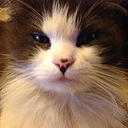 Mr Ely a rejoint le concours — aidez-le/la à gagner de superbes lots !