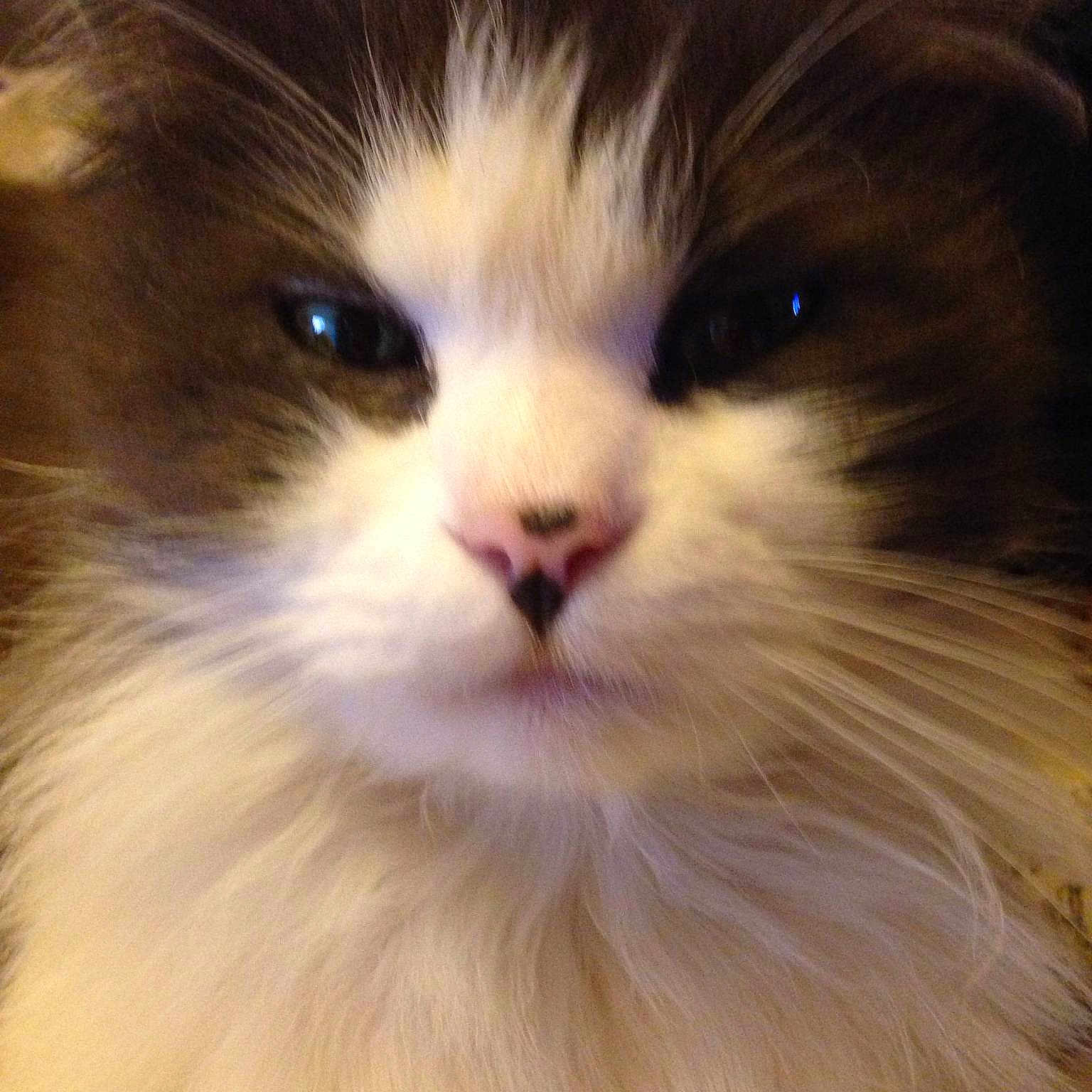 Mr Ely a rejoint le concours — aidez-le/la à gagner de superbes lots !