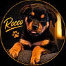 adorable, animal, black_background, circle_frame, cute, dog, ears, eyes, friendly, fur, indoor, paw_print, paws, pet, portrait, puppy, rottweiler, text_overlay, tongue, young