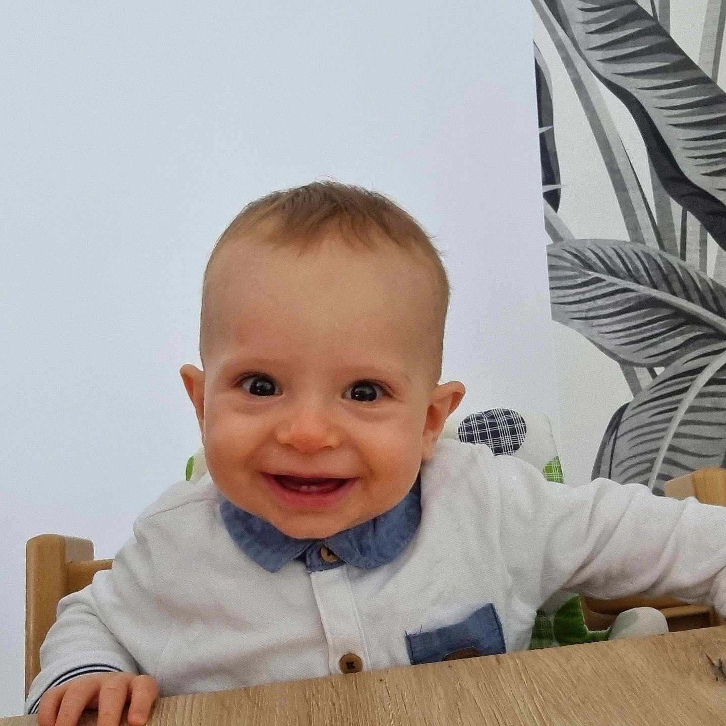 Gabriel participe au concours pour gagner de l'argent avec cette photo : baby, blue_collar, child, cute, eyes, face, hands, happy, high_chair, indoor, leafy_pattern, pattern, person, seated, shirt, smiling, table, wall, wooden_table, young_child