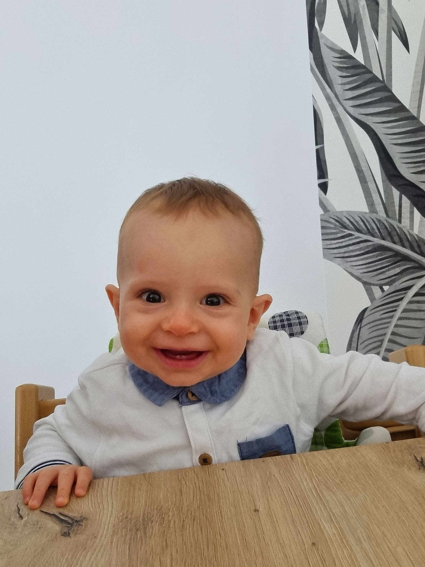 Gabriel participe au concours pour gagner de l'argent avec cette photo : baby, blue_collar, child, cute, eyes, face, hands, happy, high_chair, indoor, leafy_pattern, pattern, person, seated, shirt, smiling, table, wall, wooden_table, young_child
