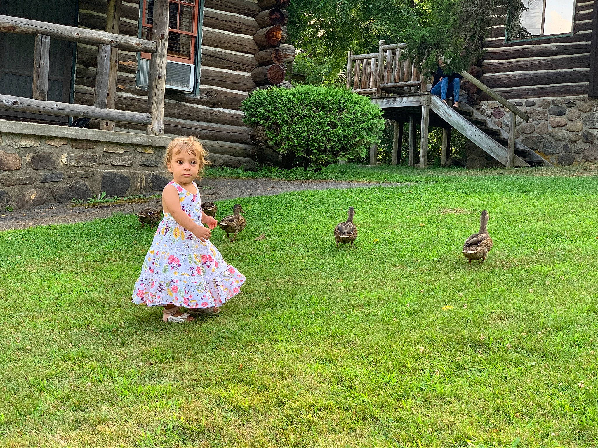 Nadia is registered to the contest to win money with this photo: adaptation, bird, child, dress, grass, grass_family, grassland, groundcover, landscape, lawn, leisure, mammal, meadow, people_in_nature, person, plant, recreation, rural_area, toddler, tree