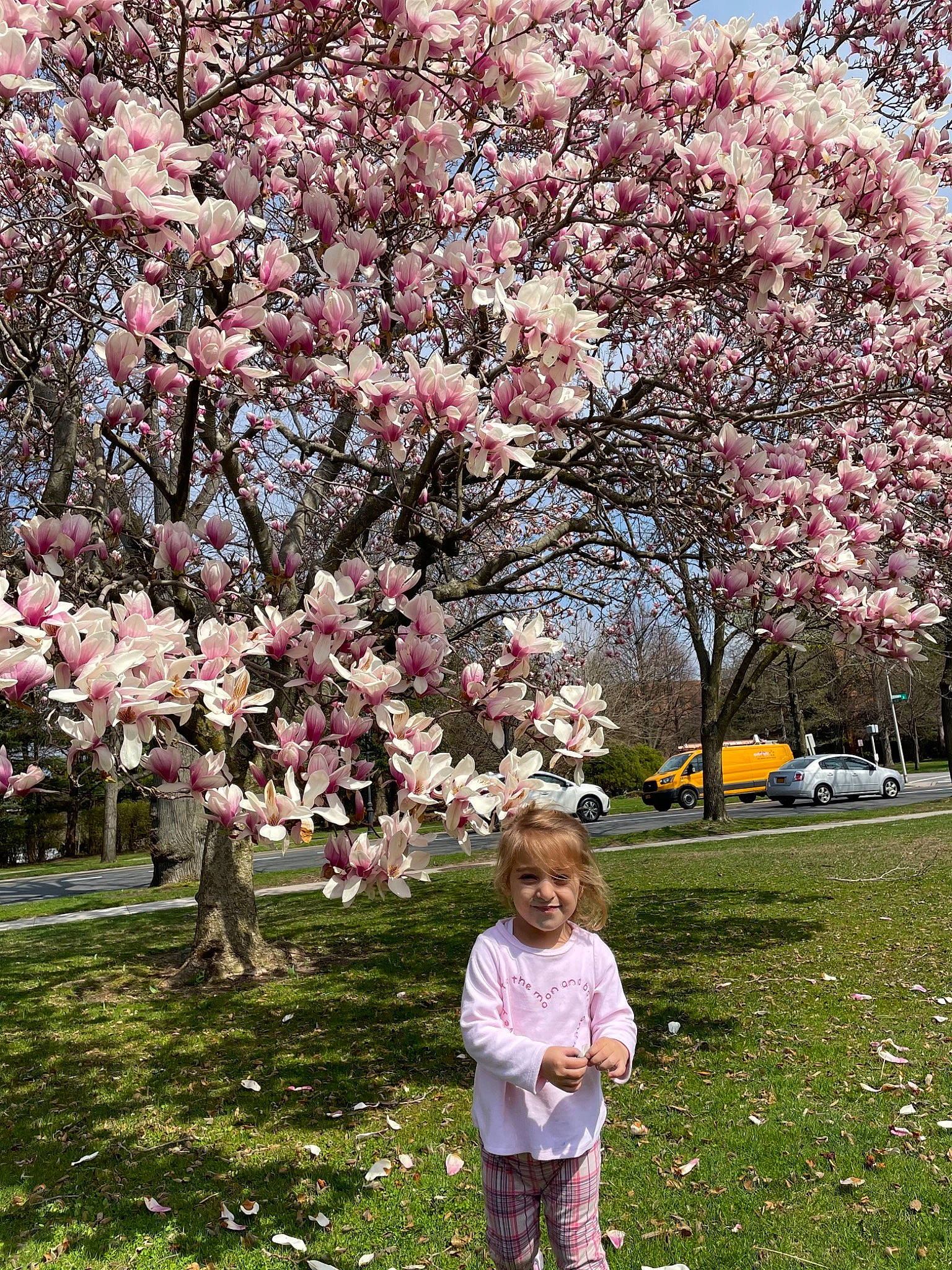 Nadia is registered to the contest to win money with this photo: beauty, botany, branch, flower, flowering_plant, grass, groundcover, joy, leisure, nature, people_in_nature, person, petal, photograph, pink, plant, shrub, sky, smile, snapshot