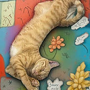 Tigger is registered to the contest to win money with this photo: cat, ginger_cat, sleeping, curled_up, tabby, feline, pet, animal, colorful_background, artistic, floor_art, flowers, whimsical, relaxed, cute, domestic_cat, fur, cozy, resting, orange_cat