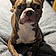 Rudy