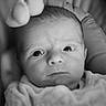baby, newborn, infant, face, eyes, blanket, close_up, black_and_white, portrait, soft_texture, cushion, young_child, sleepwear, head, skin, expression, indoors, human, child, newborn_baby