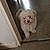 Nala participe au concours pour gagner de l'argent avec cette photo :