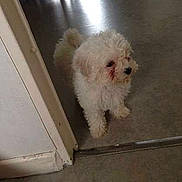 Nala participe au concours pour gagner de l'argent avec cette photo :