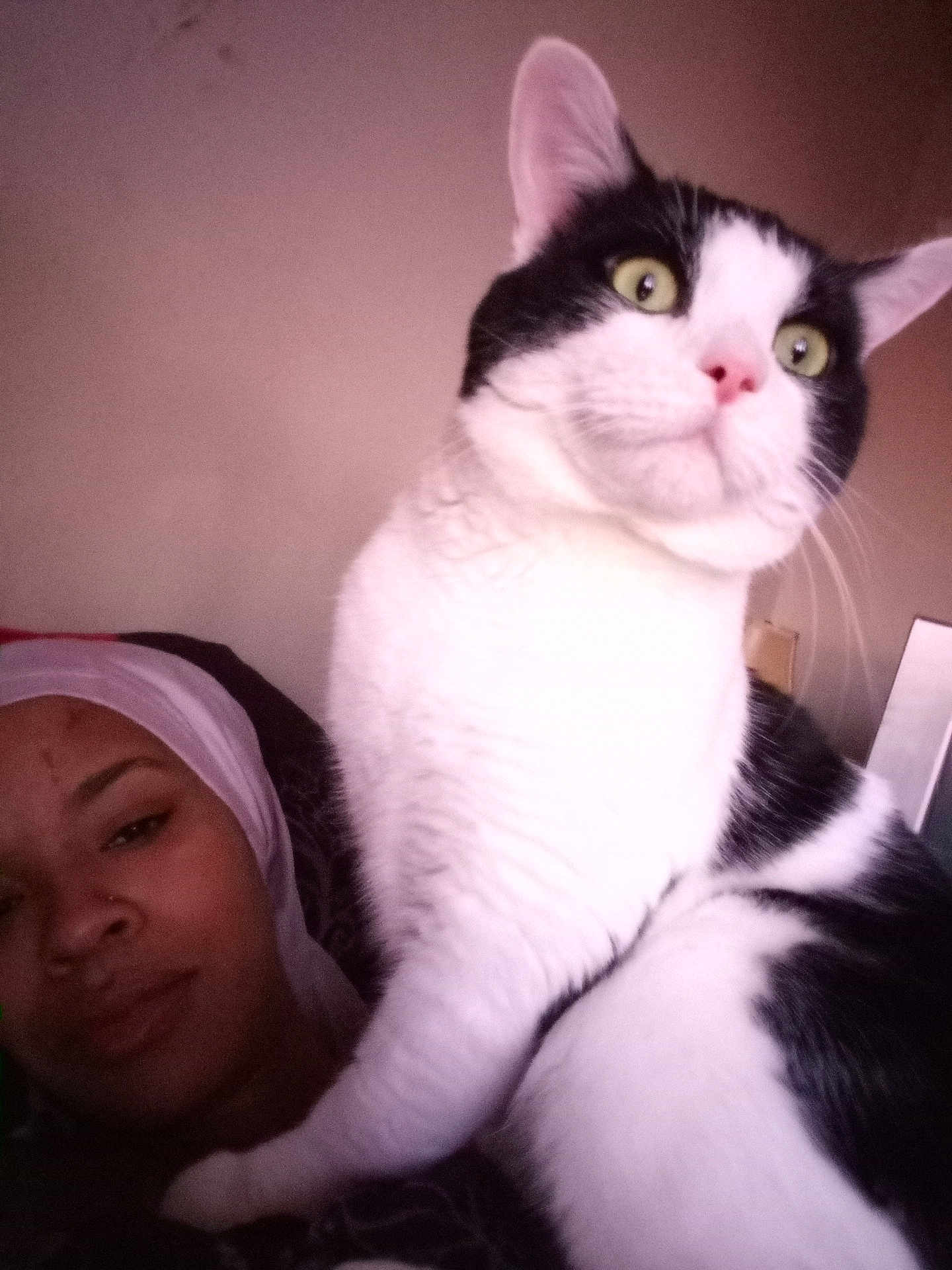 Soot joined the competition — help win amazing prizes! cat, person, indoor, headscarf, black_and_white_cat, relaxed, close_up, curious, animal, pet, face, fur, portrait, resting, human, cozy, companion, whiskers, domestic_animal, casual
