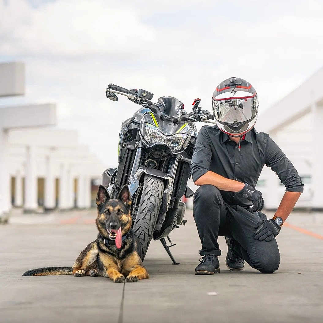 Dina participe au concours pour gagner de l'argent avec cette photo : adult, animal, canine, clothing, dog, footwear, glove, helmet, machine, male, man, motorcycle, officer, person, pet, policeofficer, shoe, transportation, vehicle, wristwatch