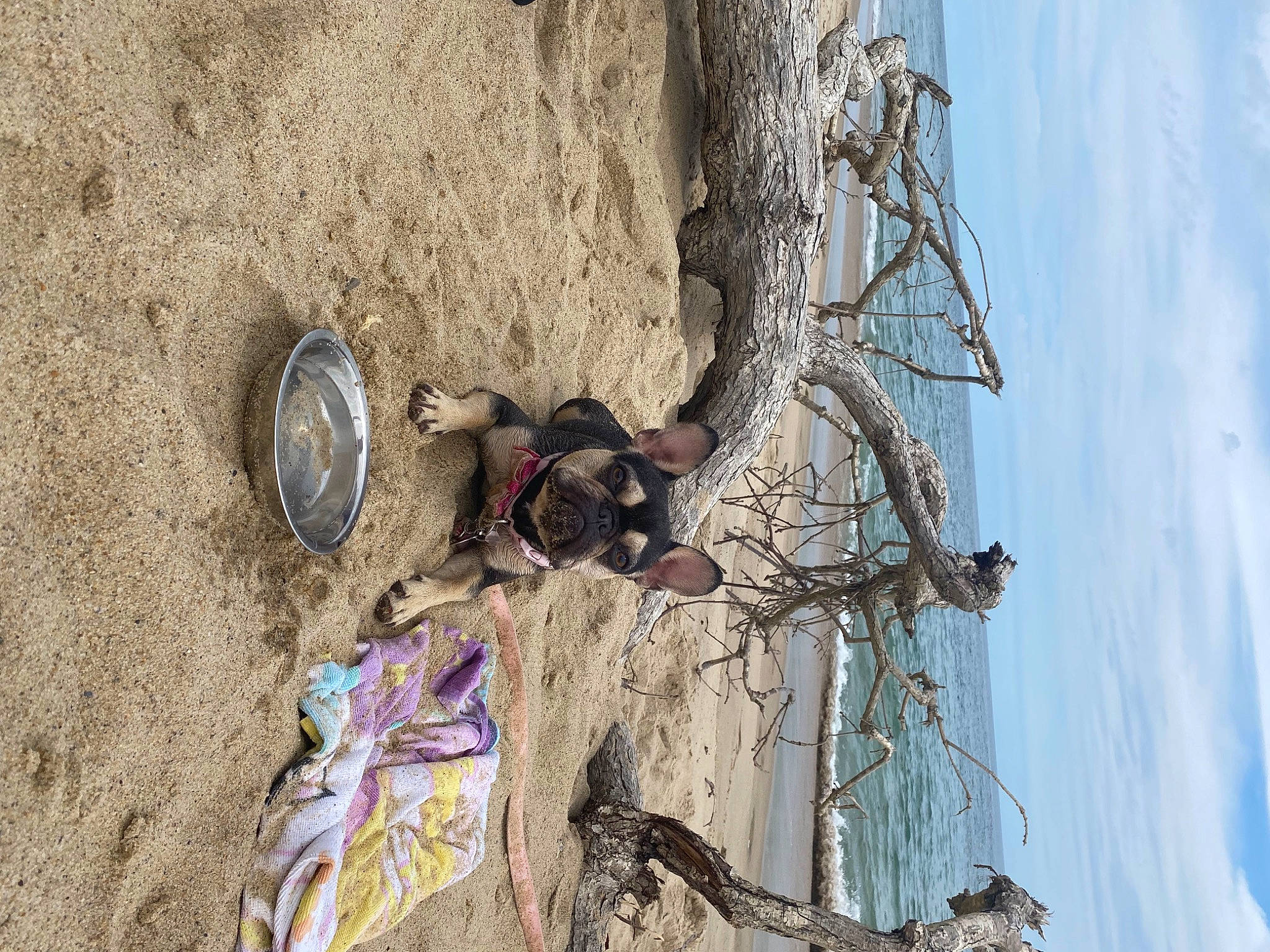 Keto is registered to the contest to win money with this photo: adventure, automotive_wheel_system, bicycle_wheel, cloud, fun, landscape, plant, recreation, sky, soil, tire, tree, trunk, twig, wheel, wire, wood