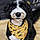 Daisy