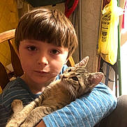 Harley Armstead is registered to the contest to win money with this photo: child, cat, tabby_cat, indoor, holding, blue_shirt, striped_shirt, brown_hair, wooden_chair, face, pet, animal, young, calm, close_up, furniture, household_items, domestic, comfort, cozy