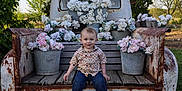 Jackson is registered to the contest to win money with this photo: child, toddler, smiling, sitting, vintage_truck, rustic, wooden_bench, flowers, flower_buckets, outdoor, greenery, grass, tree, sky, rust, denim_jeans, checkered_shirt, boots, watering_can, garden