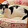 Smudge