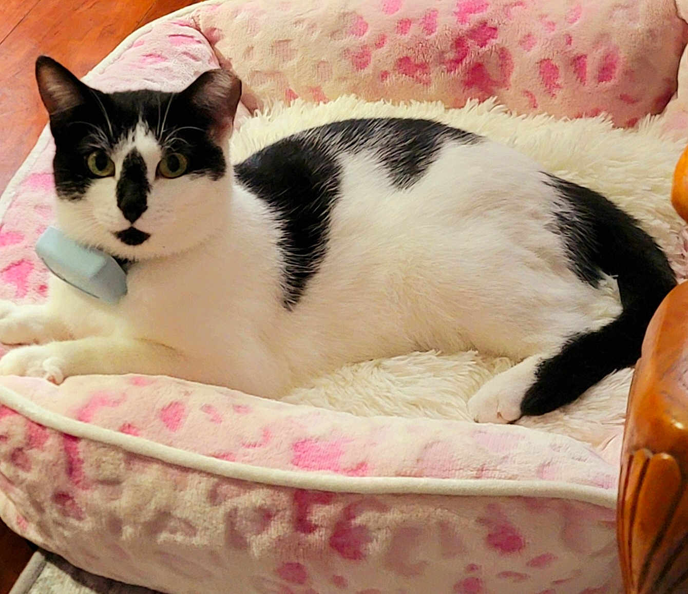 Smudge