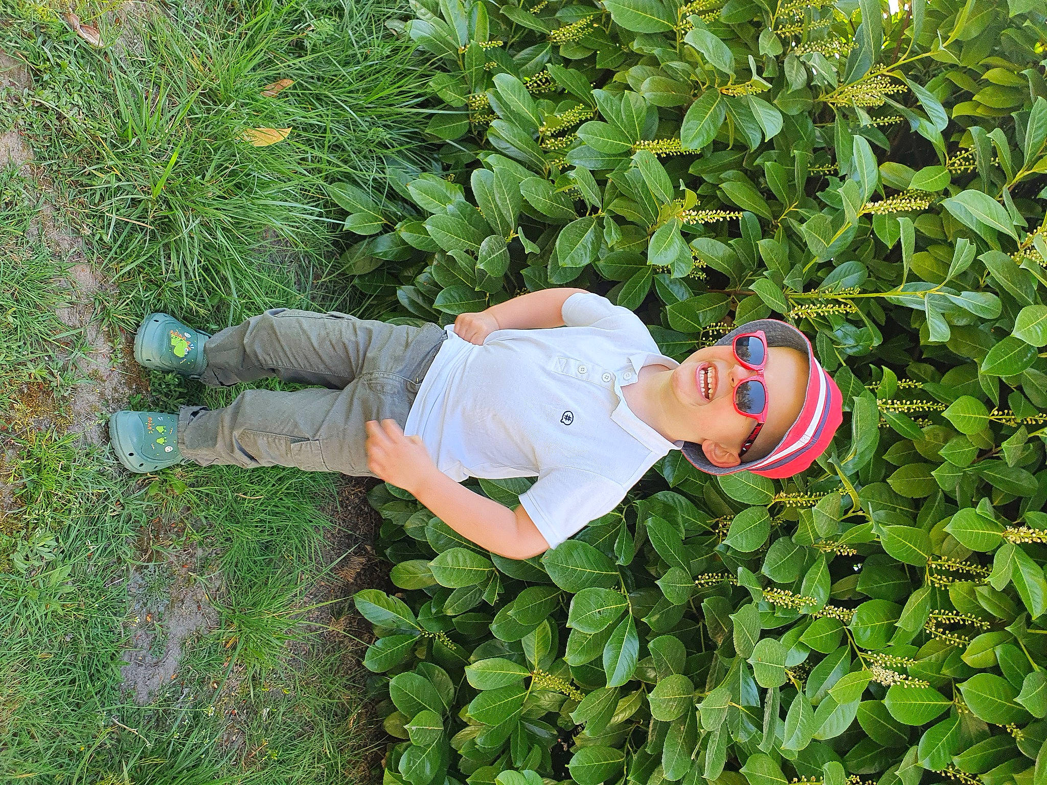 Nelio a rejoint le concours — aidez-le/la à gagner de superbes lots ! eyewear, flowering_plant, garden, grass, grass_family, green, groundcover, hat, headwear, hedge, herb, knee, leisure, people_in_nature, person, plant, rose_family, shrub, smile, sunglasses