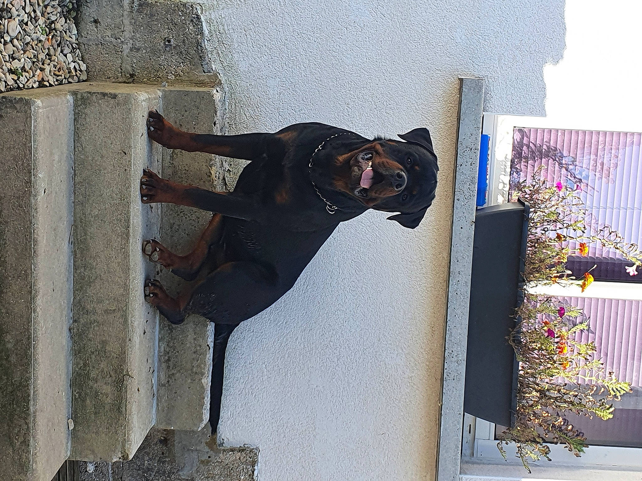 Rafale participe au concours pour gagner de l'argent avec cette photo : art, building, concrete, facade, metal, religious_item, sculpture, shadow, smile, statue, visual_arts
