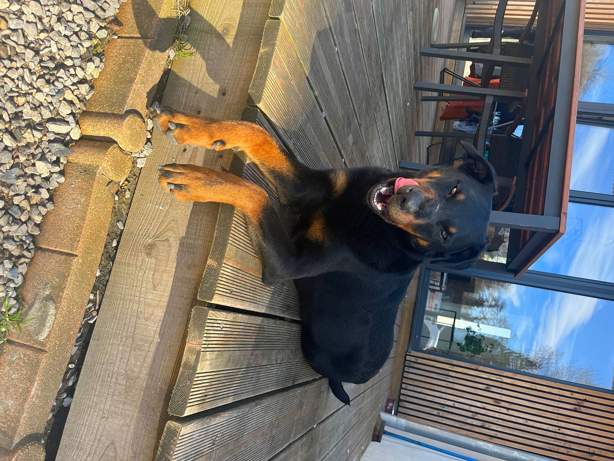 Tayka participe au concours pour gagner de l'argent avec cette photo : art, concrete, facade, hat, machine, metal, road_surface, sculpture, shadow, window, wood