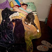 Tara is registered to the contest to win money with this photo: bed, bedroom, blanket, cat, cozy, furniture, home, indoors, nap, person, pet, pillows, plush_toy, portrait, quilt, resting, sleeping, slippers, stuffed_animal, tabby_cat
