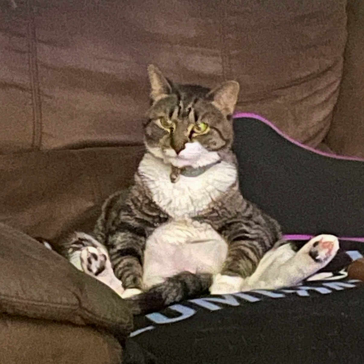 Tara
