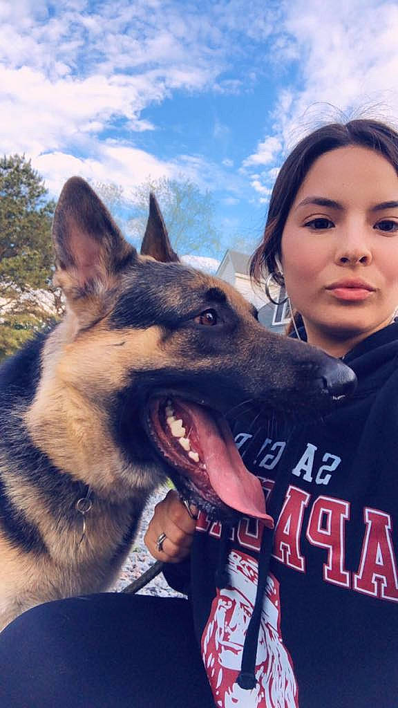 Duke is registered to the contest to win money with this photo: belgian_shepherd_malinois, bohemian_shepherd, canidae, carnivore, czechoslovakian_wolfdog, dog, dog_breed, east_european_shepherd, german_shepherd_dog, king_shepherd, kunming_wolfdog, mammal, old_german_shepherd_dog, police_dog, selfie, seppala_siberian_sleddog, shiloh_shepherd_dog, wolfdog, working_dog