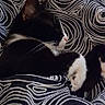 cat, black_and_white, pet, feline, sleeping, resting, curled_up, cozy, blanket, bed, indoors, home, whiskers, ears, paws, fur, patterned_fabric, cuddly, relaxed, portrait
