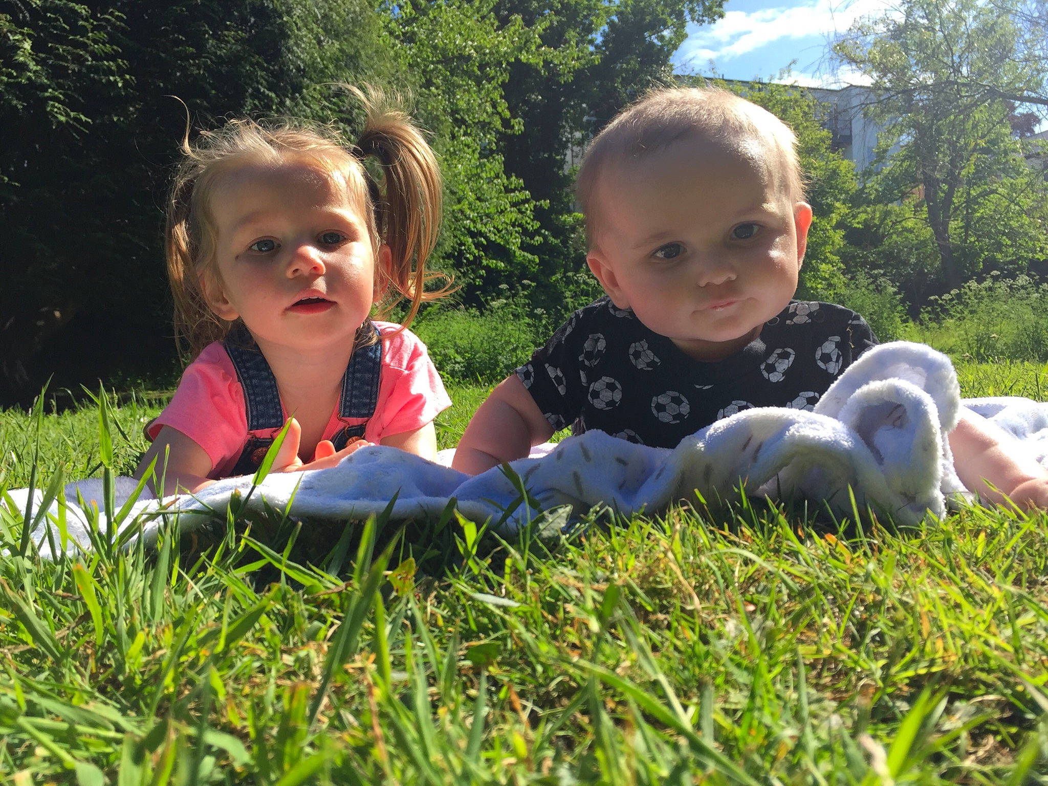 Jayden-james is registered to the contest to win money with this photo: botany, child, fun, garden, grass, grass_family, happy, lawn, leaf, leisure, meadow, people_in_nature, person, plant, play, sibling, smile, spring, summer, toddler