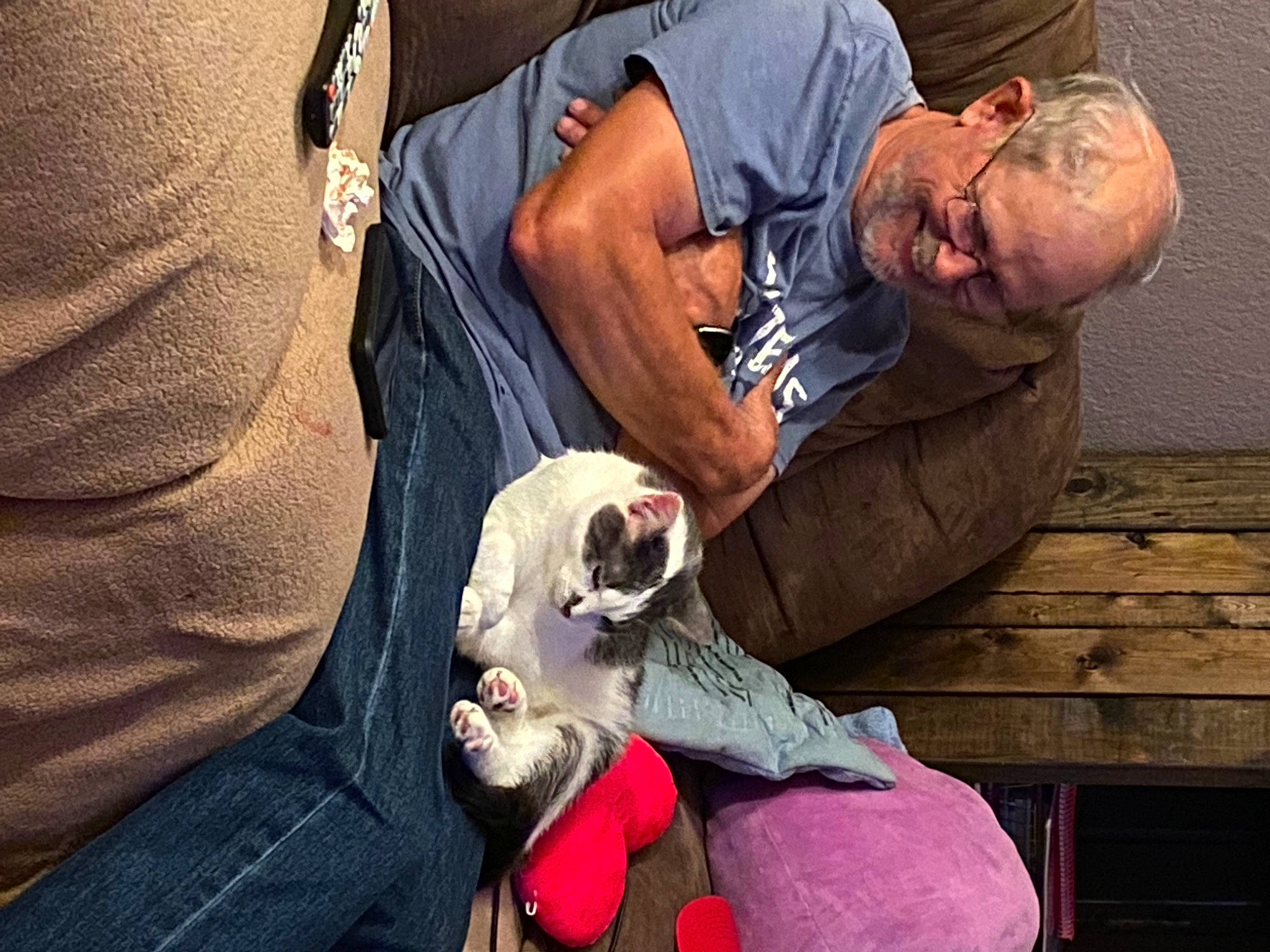 Hurricane joined the competition — help win amazing prizes! canidae, child, comfort, companion_dog, elbow, event, eyewear, felidae, fur, knee, lap, magenta, sitting, sporting_group