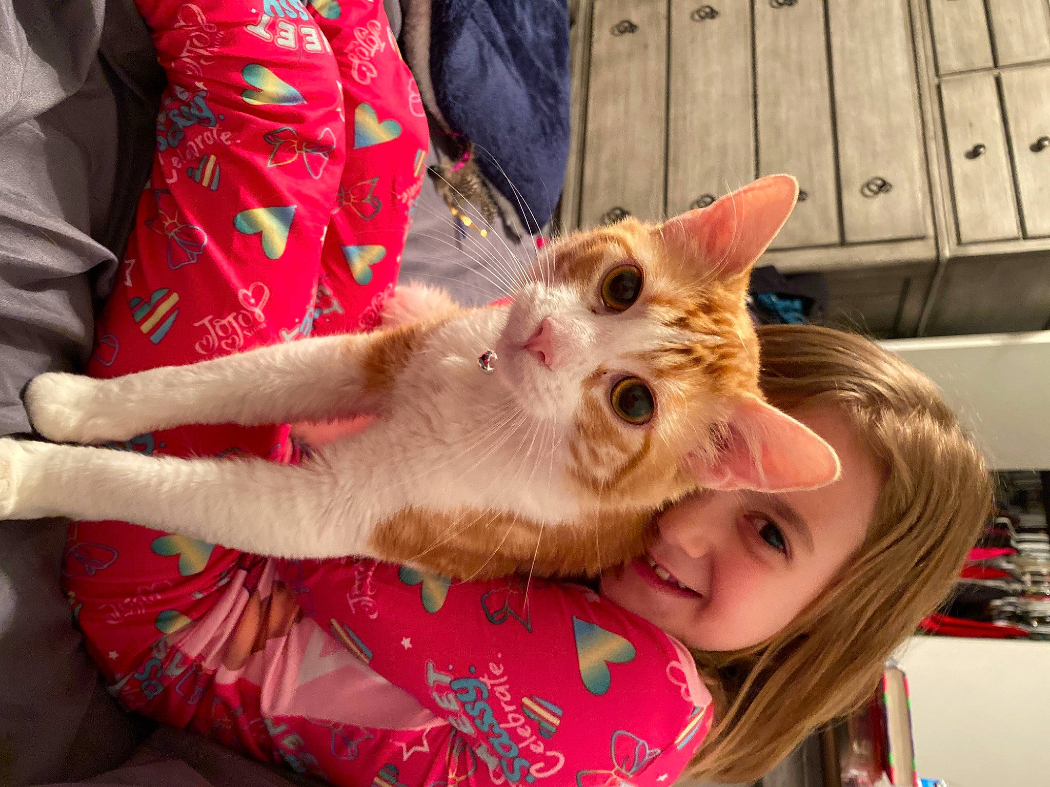 Cupcake joined the competition — help win amazing prizes! cat, child, companion_dog, ear, event, eyelash, fawn, felidae, fun, fur, happy, nail, pattern, small_to_medium_sized_cats, smile, whiskers