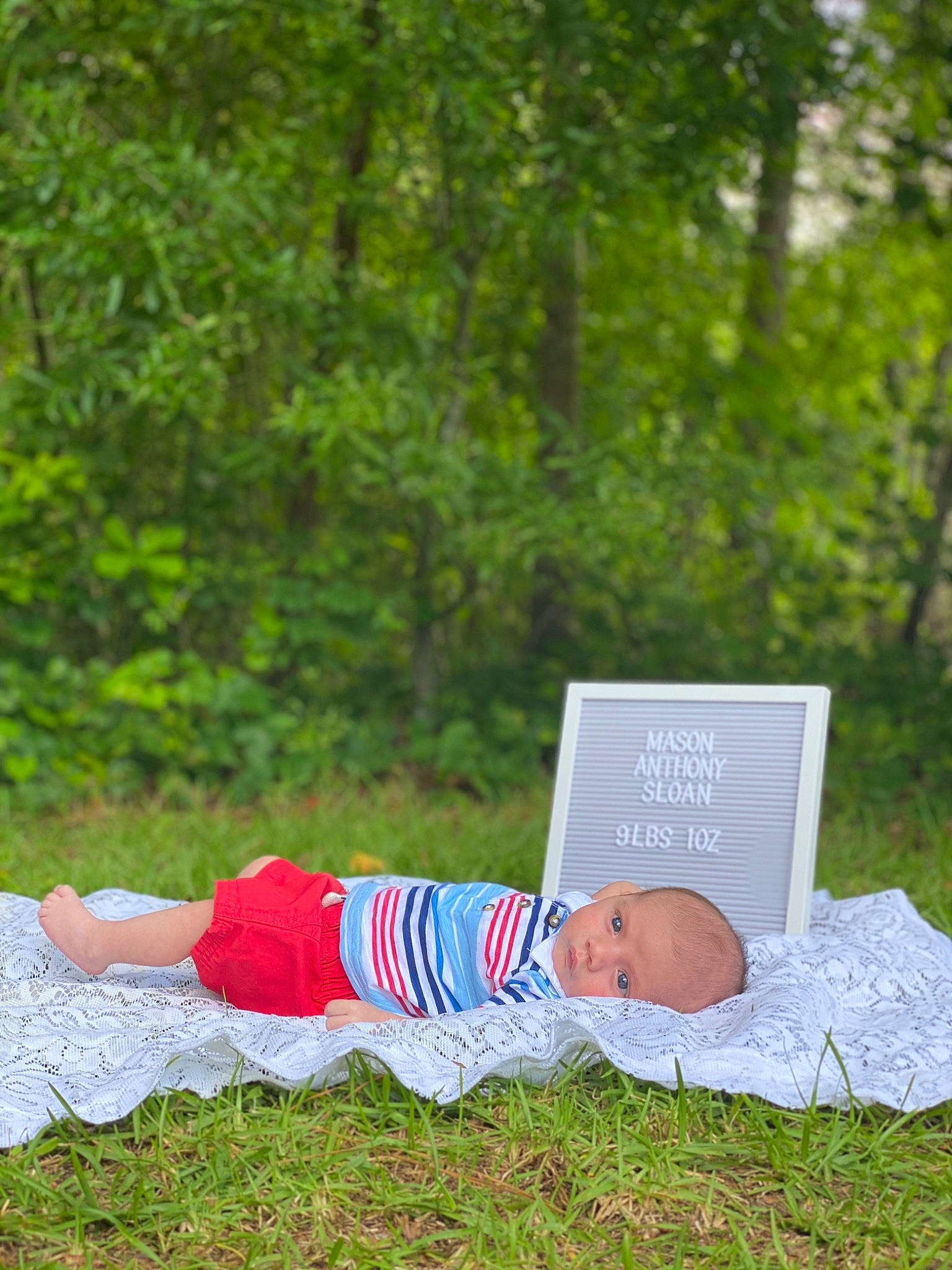 Mason is registered to the contest to win money with this photo: baby, child, grass, grass_family, leaf, leisure, person, photograph, photography, plant, reading, tree