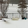 backyard, bare_trees, diving_board, dog, fence, grass_under_snow, outdoor, overcast, pet, planter, pool, pool_cover, potted_plant, resting, serene, snow, snowfall, tree, white_dog, winter