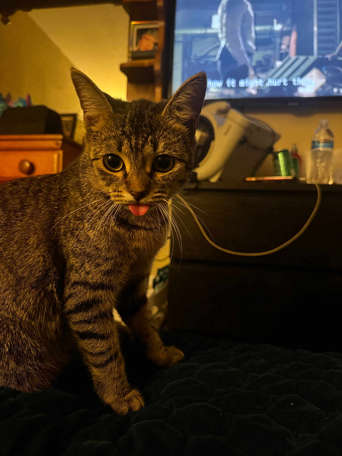 Canelo