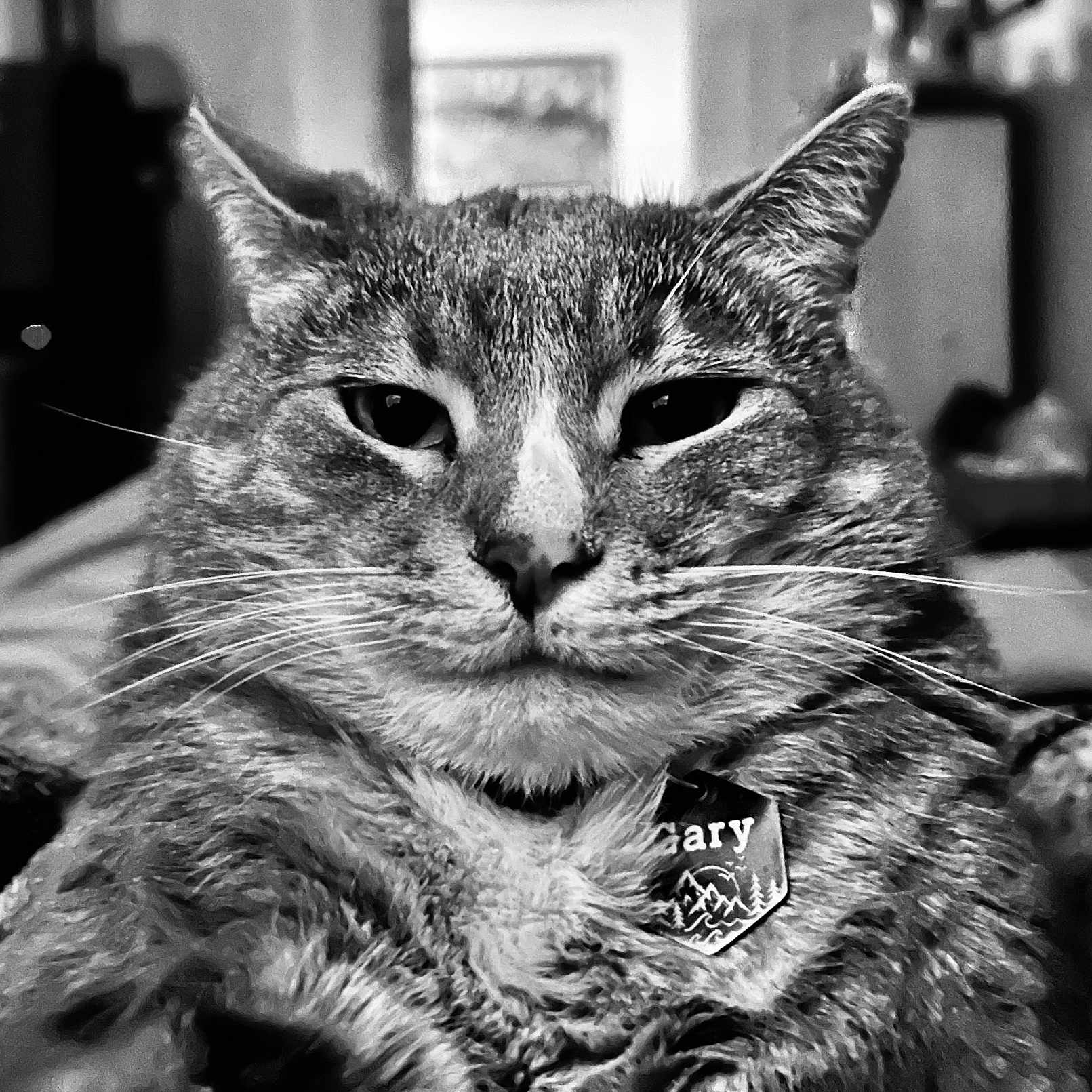 Gary