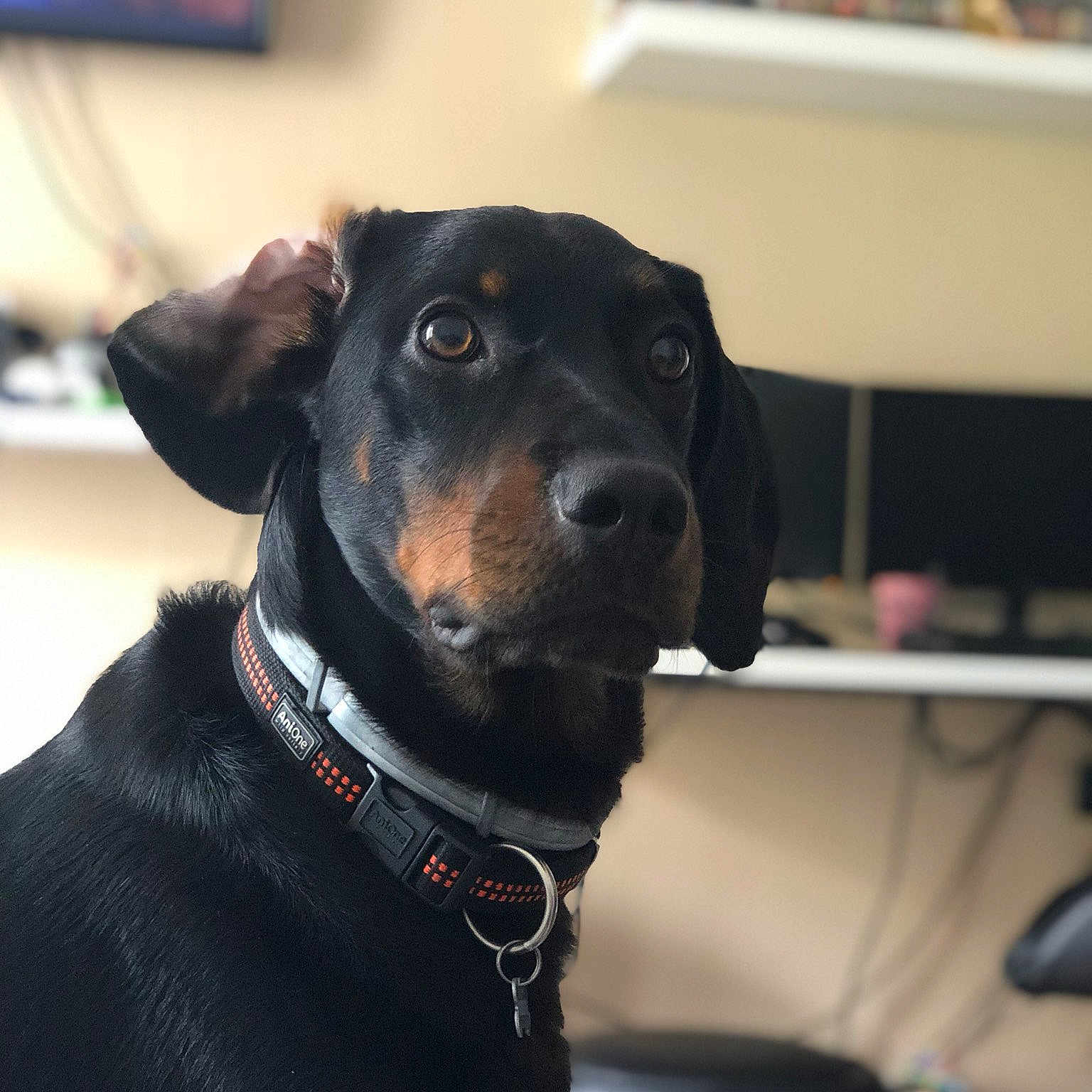 Billy