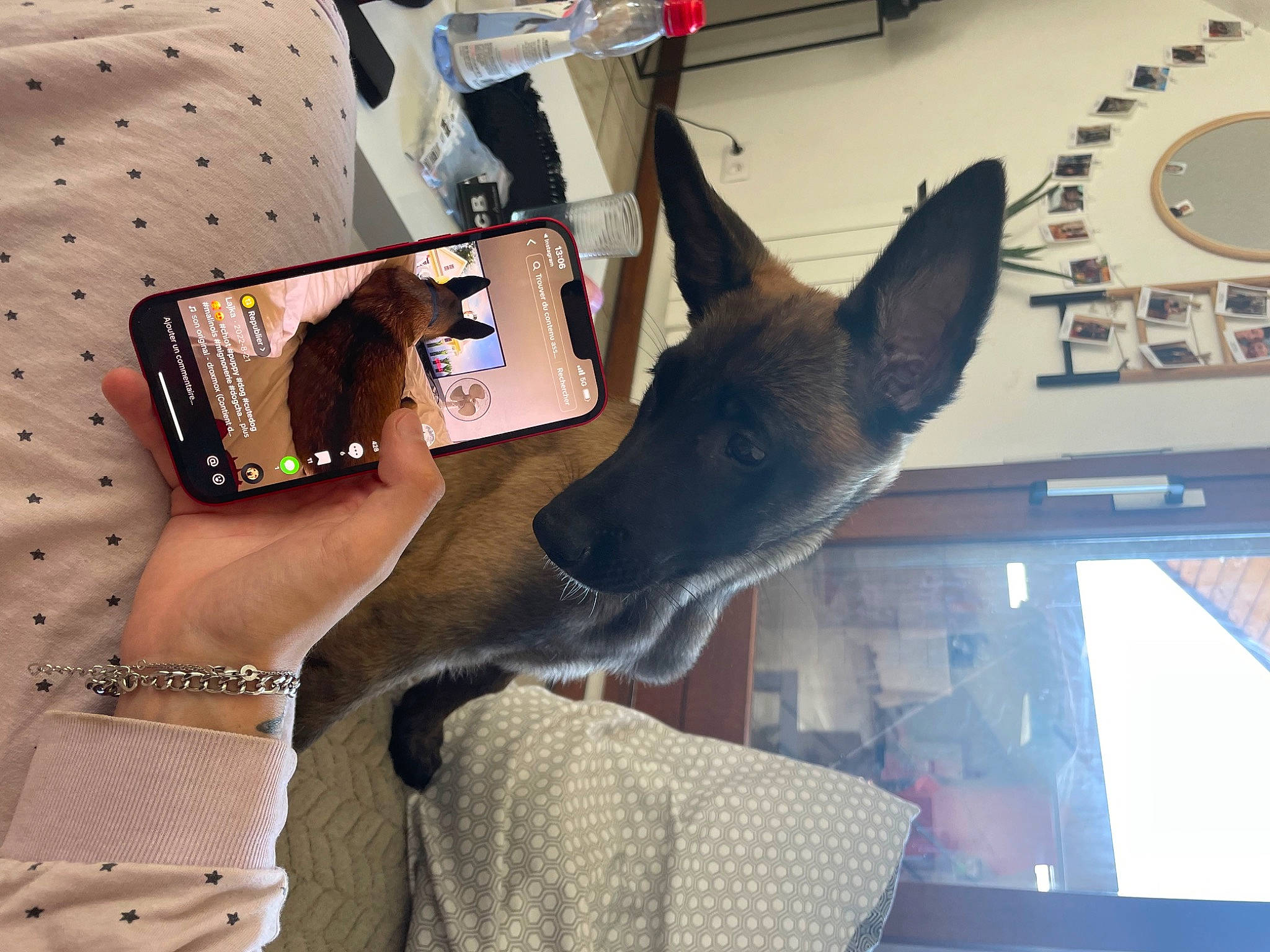 Mayla participe au concours pour gagner de l'argent avec cette photo : carnivore, comfort, communication_device, elbow, everyday_carry, eyewear, fashion_accessory, felidae, fur, gadget, gesture, mobile_phone, portable_communications_device, selfie, small_to_medium_sized_cats, smartphone, telephony, thigh, whiskers, wrist