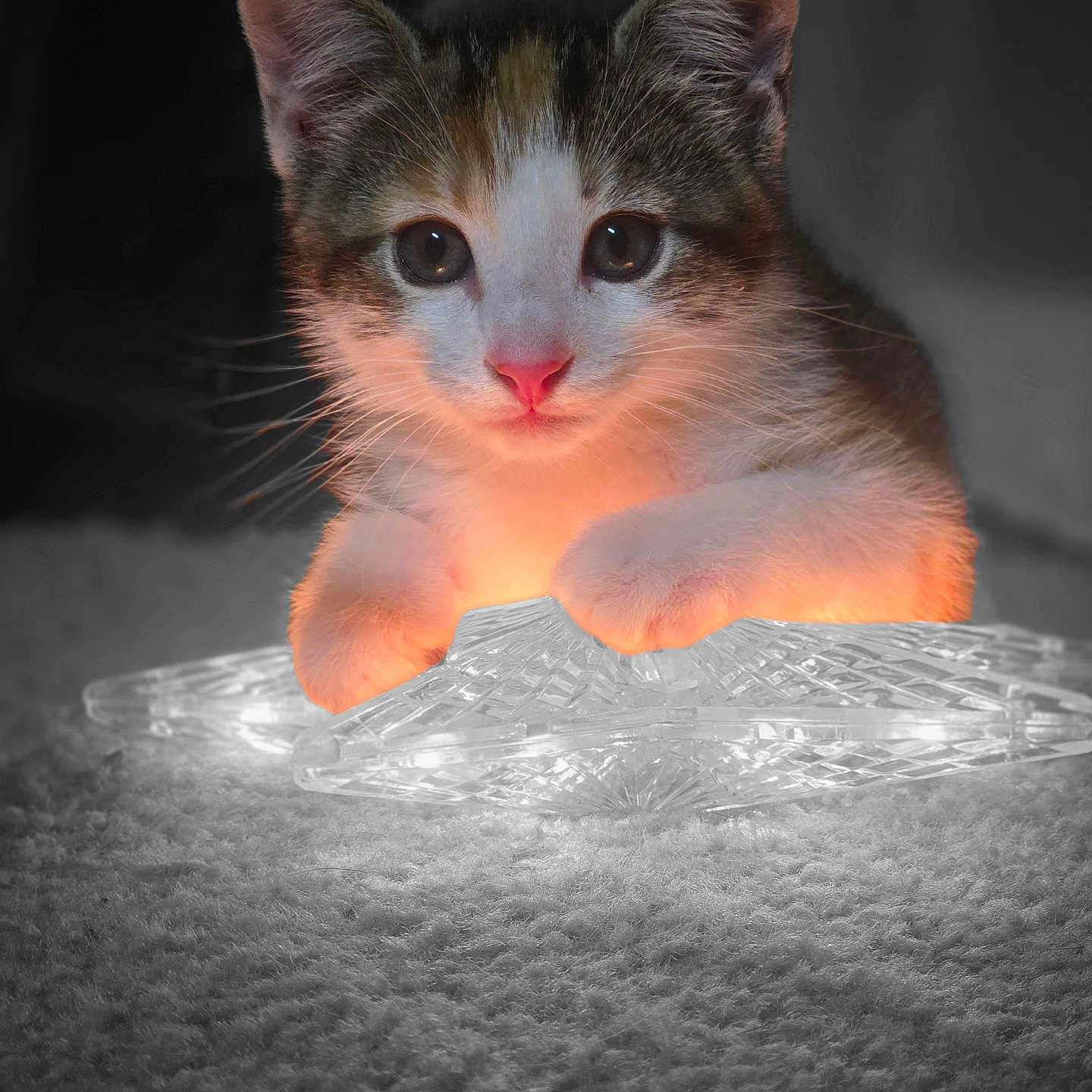 Aria